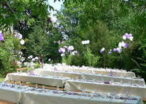 Feiern in der Gartenvilla